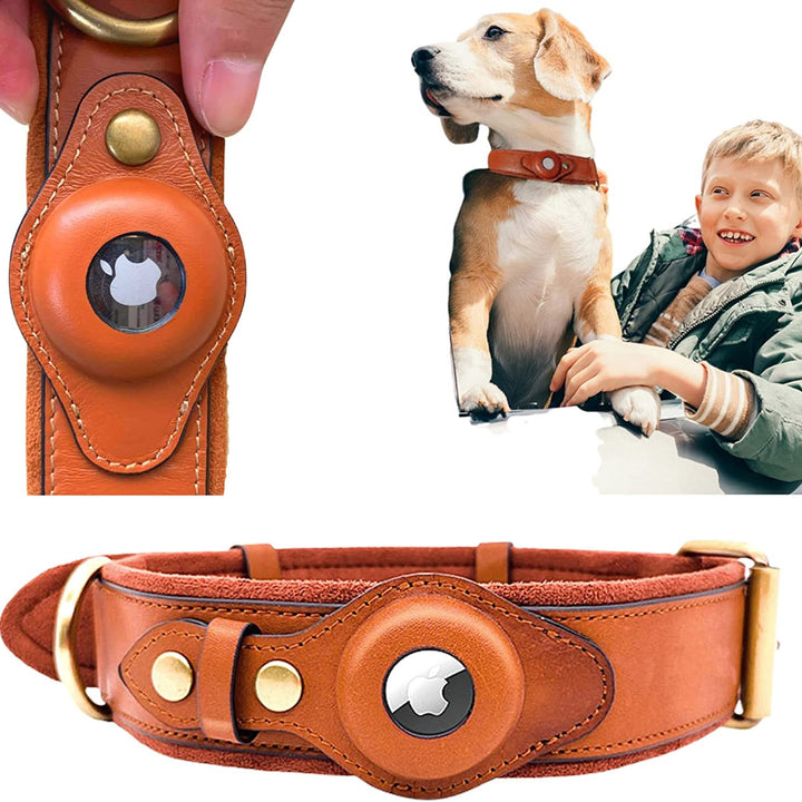 Genuine Leather Airtag Heavy Duty Dog Collar